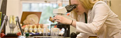 Researching & Testing with a Focus on Medical Equipment